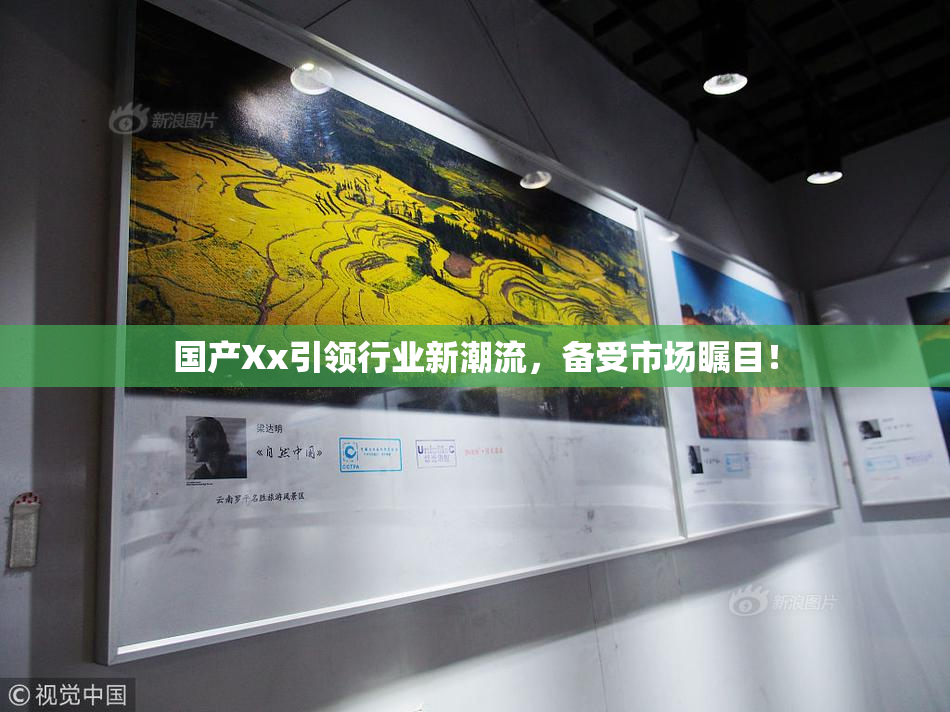 国产Xx引领行业新潮流，备受市场瞩目！