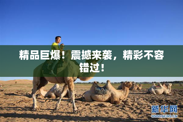 精品巨爆！震撼来袭，精彩不容错过！