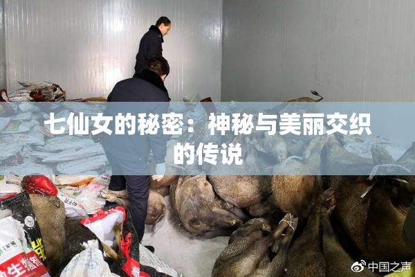 七仙女的秘密：神秘与美丽交织的传说