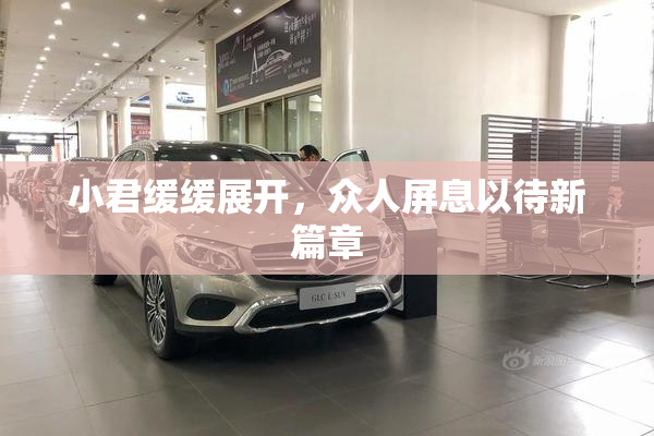 小君缓缓展开，众人屏息以待新篇章