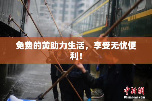 免费的黄助力生活，享受无忧便利！
