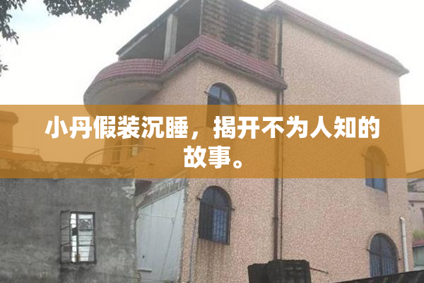 小丹假装沉睡，揭开不为人知的故事。
