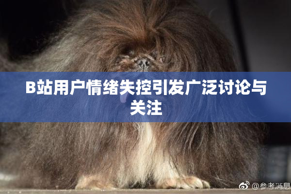 B站用户情绪失控引发广泛讨论与关注