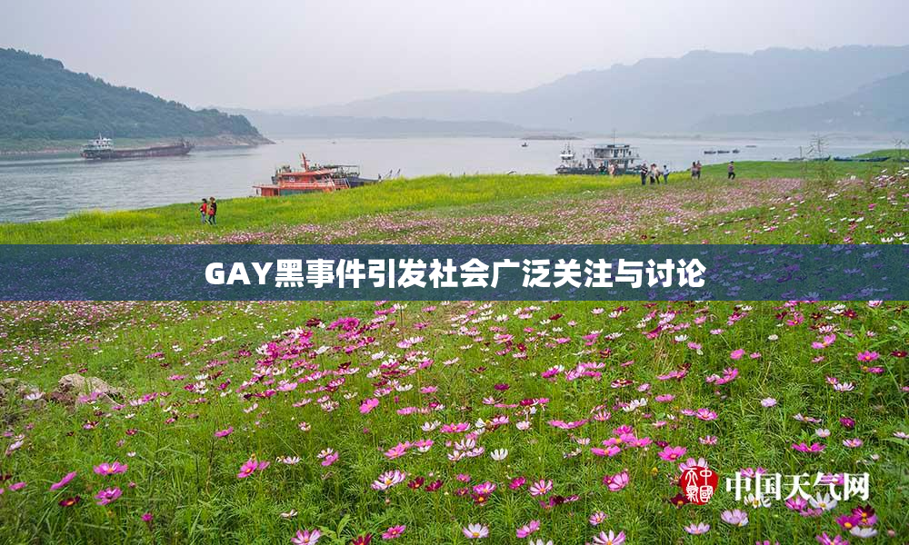 GAY黑事件引发社会广泛关注与讨论