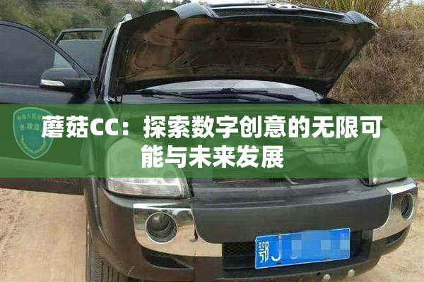 蘑菇CC：探索数字创意的无限可能与未来发展
