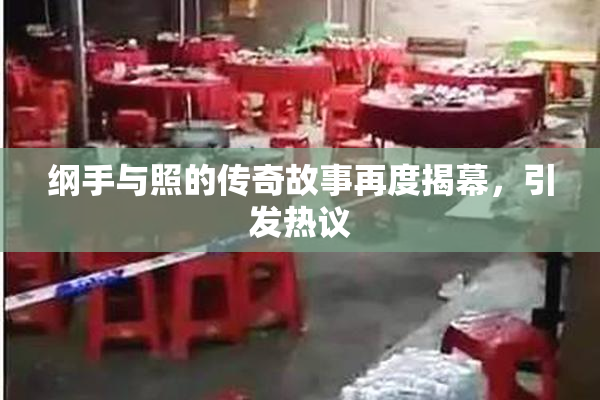 纲手与照的传奇故事再度揭幕，引发热议