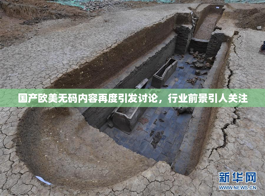 国产欧美无码内容再度引发讨论，行业前景引人关注