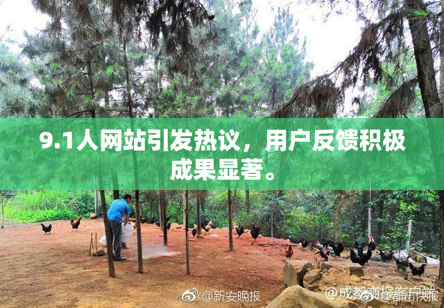 9.1人网站引发热议，用户反馈积极成果显著。