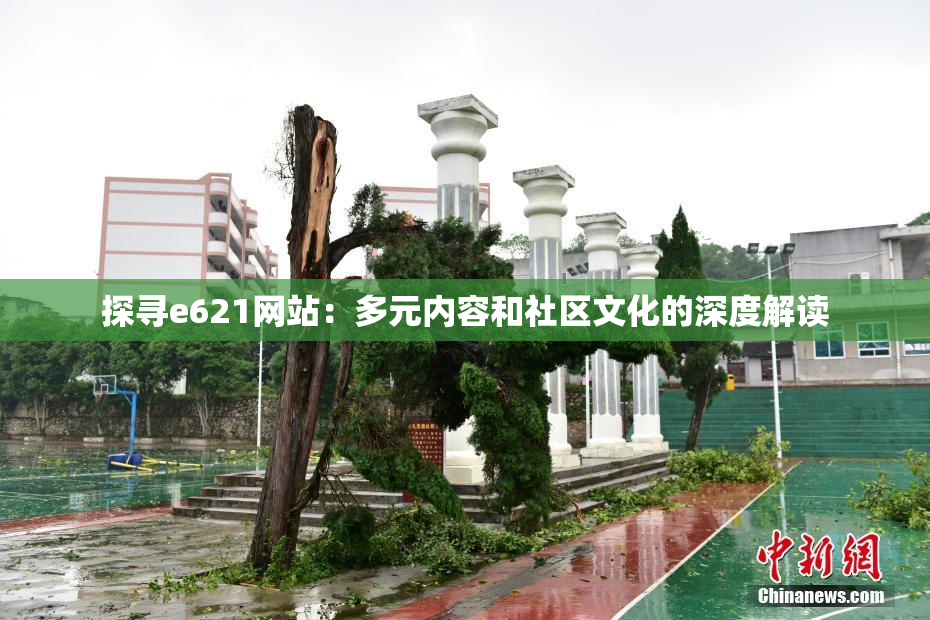 探寻e621网站：多元内容和社区文化的深度解读