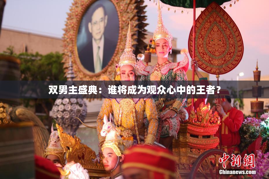 双男主盛典：谁将成为观众心中的王者？