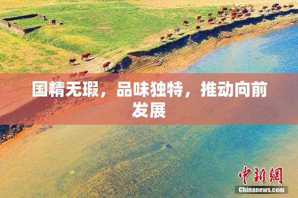 国精无瑕，品味独特，推动向前发展