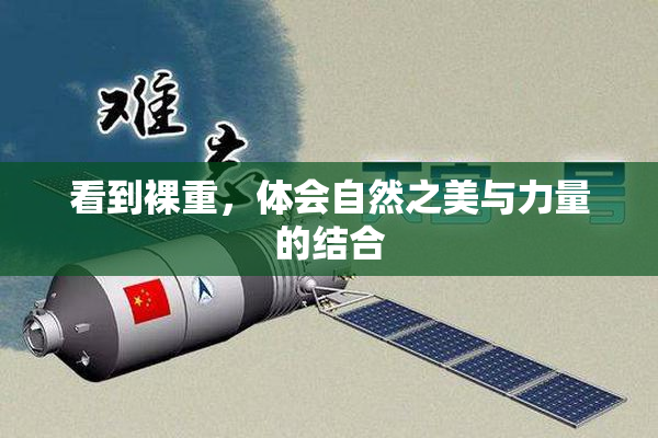 看到裸重，体会自然之美与力量的结合