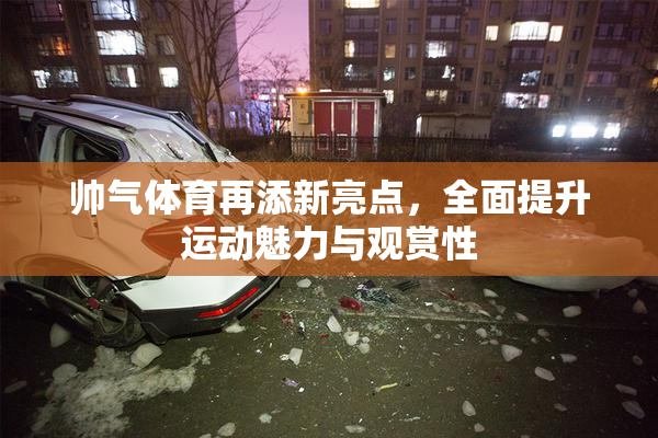 帅气体育再添新亮点，全面提升运动魅力与观赏性