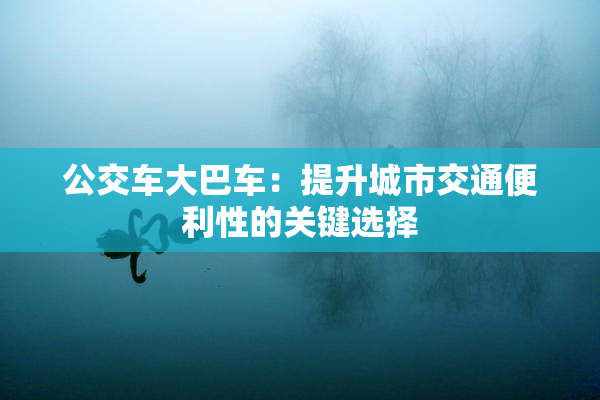 公交车大巴车：提升城市交通便利性的关键选择