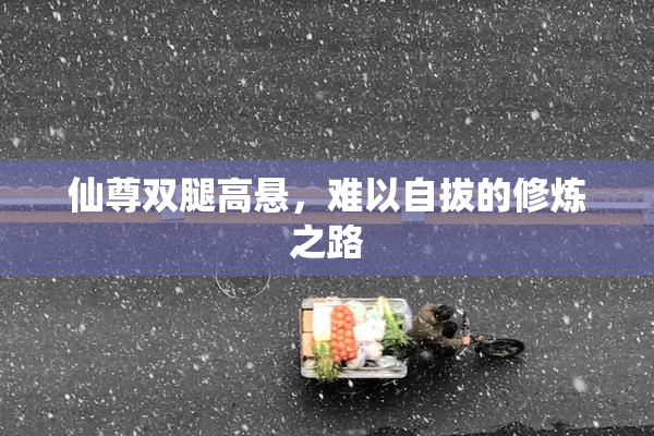 仙尊双腿高悬，难以自拔的修炼之路