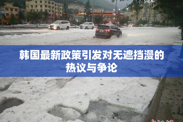 韩国最新政策引发对无遮挡漫的热议与争论