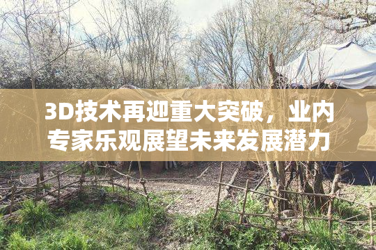 3D技术再迎重大突破，业内专家乐观展望未来发展潜力
