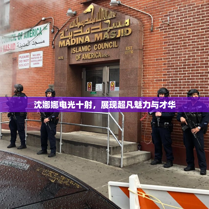 沈娜娜电光十射，展现超凡魅力与才华