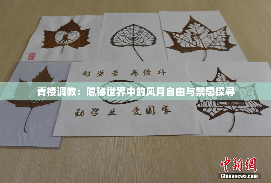 青楼调教：隐秘世界中的风月自由与禁忌探寻