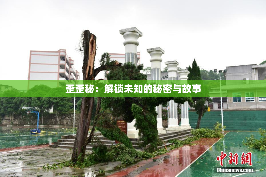 歪歪秘：解锁未知的秘密与故事