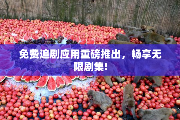 免费追剧应用重磅推出，畅享无限剧集!