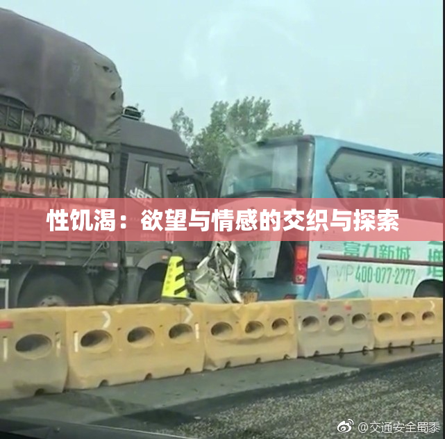 性饥渴：欲望与情感的交织与探索