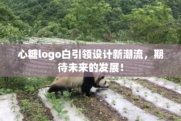 心糖logo白引领设计新潮流，期待未来的发展！