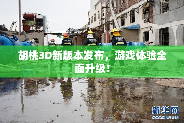 胡桃3D新版本发布，游戏体验全面升级！