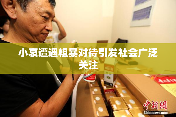 小哀遭遇粗暴对待引发社会广泛关注