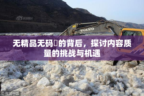 无精品无码囯的背后，探讨内容质量的挑战与机遇