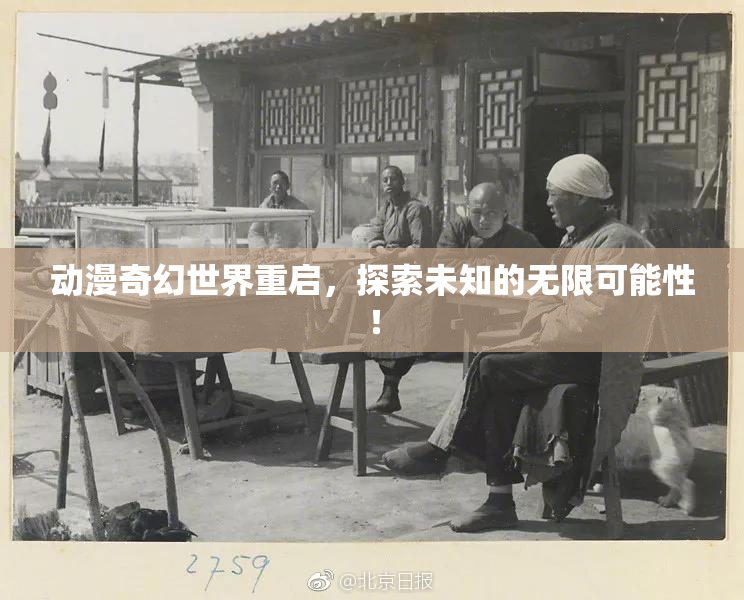 动漫奇幻世界重启，探索未知的无限可能性！