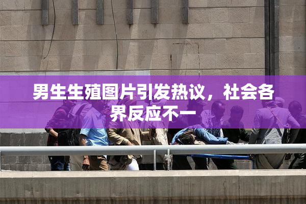 男生生殖图片引发热议，社会各界反应不一