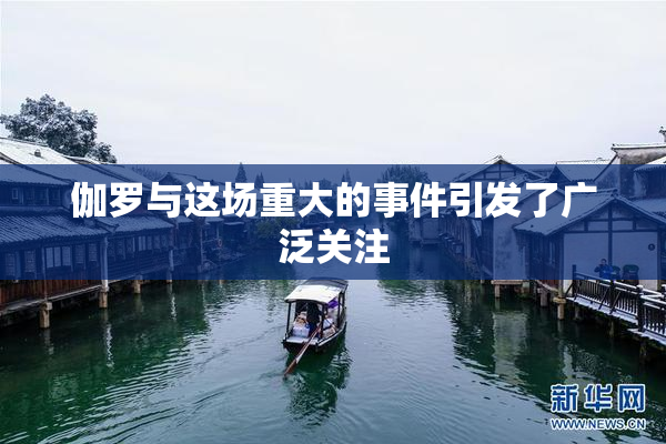 伽罗与这场重大的事件引发了广泛关注