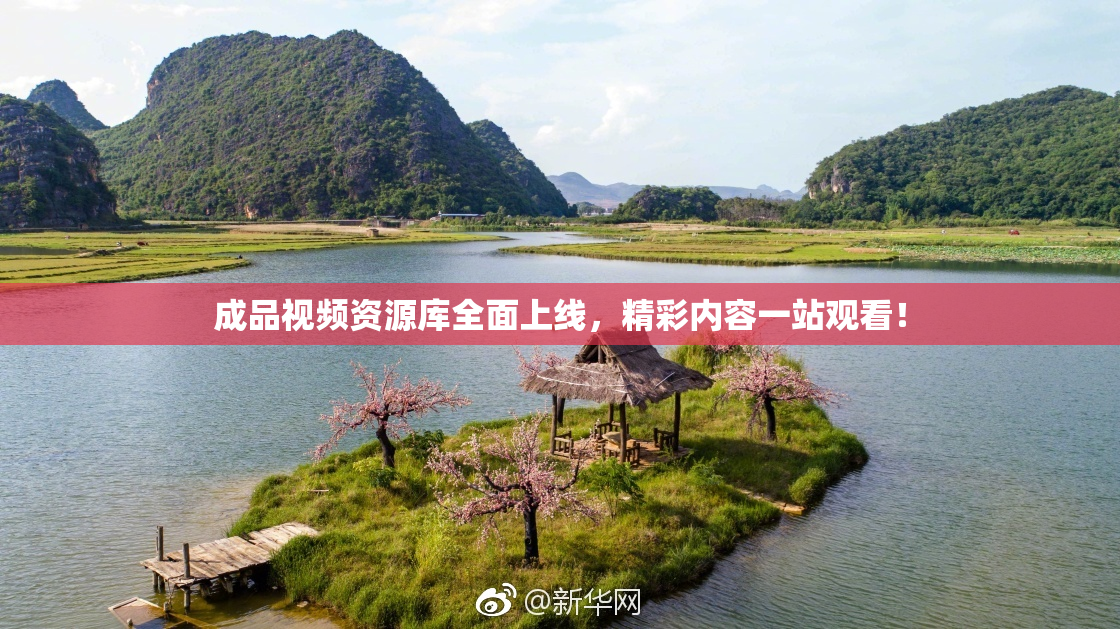 成品视频资源库全面上线，精彩内容一站观看！