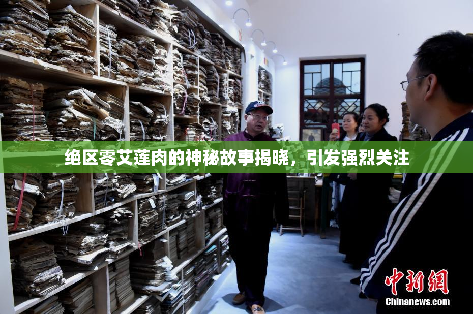 绝区零艾莲肉的神秘故事揭晓，引发强烈关注