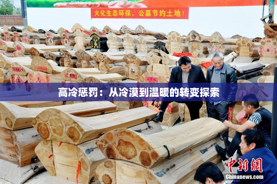 高冷惩罚：从冷漠到温暖的转变探索