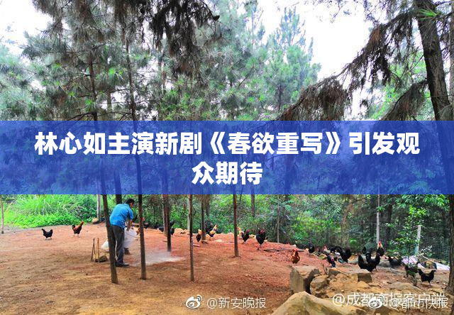 林心如主演新剧《春欲重写》引发观众期待