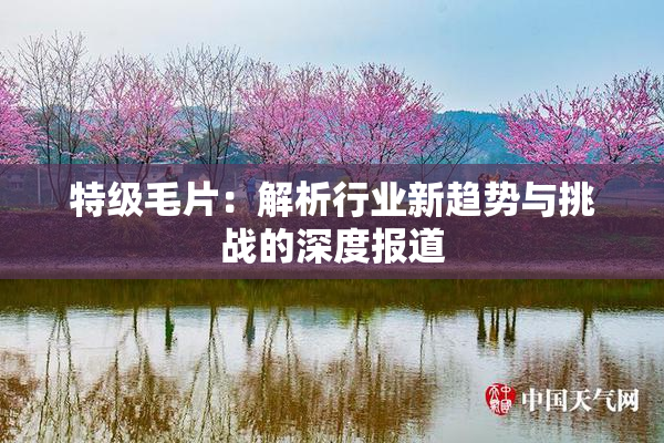 特级毛片：解析行业新趋势与挑战的深度报道