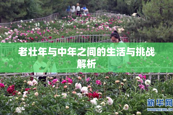 老壮年与中年之间的生活与挑战解析