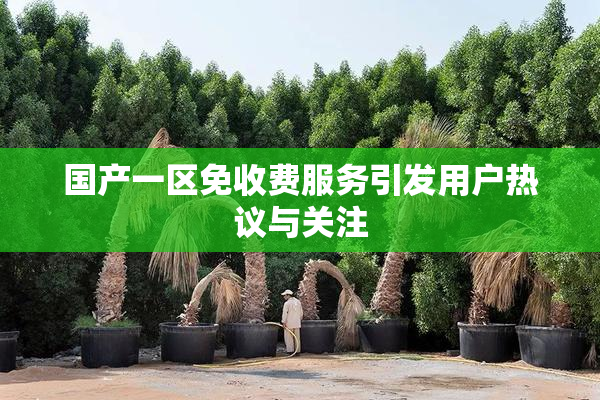国产一区免收费服务引发用户热议与关注