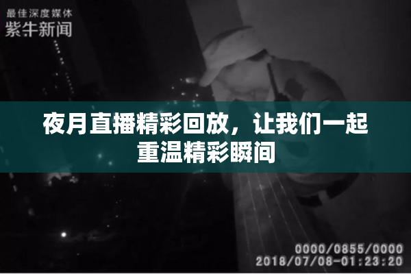 夜月直播精彩回放，让我们一起重温精彩瞬间