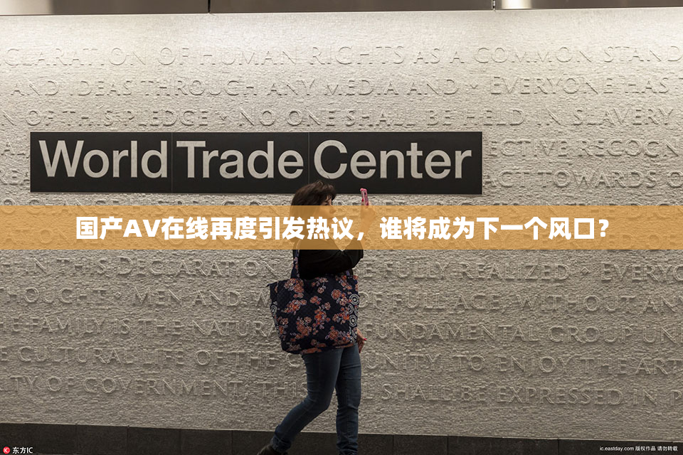 国产AV在线再度引发热议，谁将成为下一个风口？