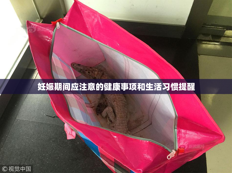 妊娠期间应注意的健康事项和生活习惯提醒
