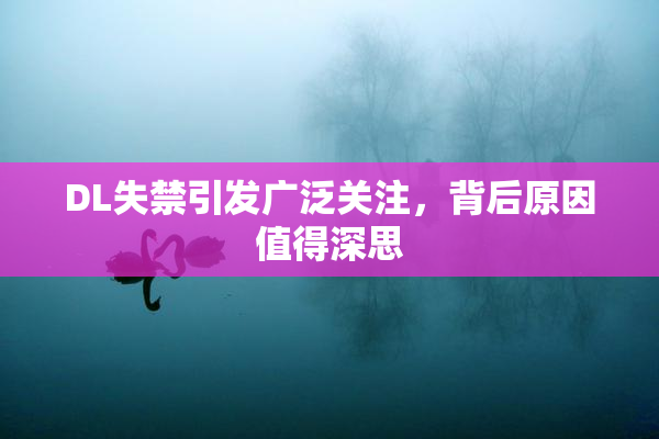 DL失禁引发广泛关注，背后原因值得深思