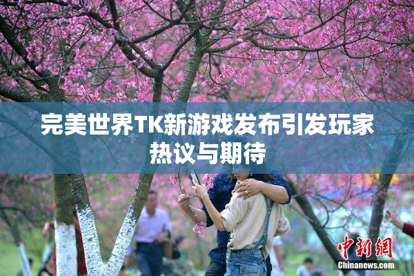 完美世界TK新游戏发布引发玩家热议与期待