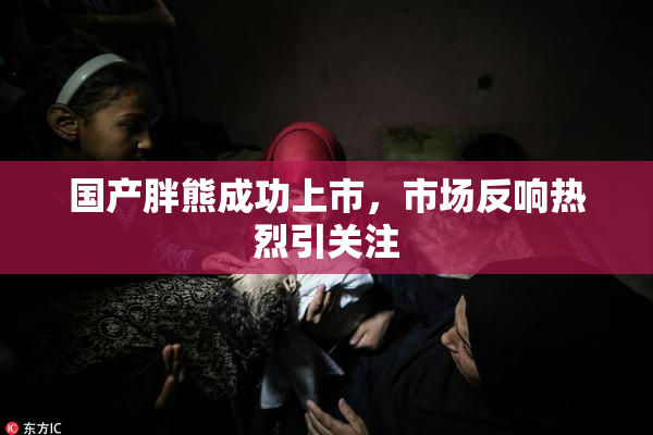 国产胖熊成功上市，市场反响热烈引关注