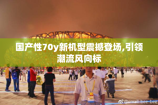 国产性70y新机型震撼登场,引领潮流风向标