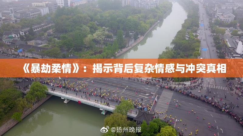 《暴劫柔情》：揭示背后复杂情感与冲突真相