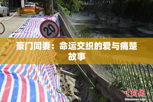 豪门同妻：命运交织的爱与痛楚故事