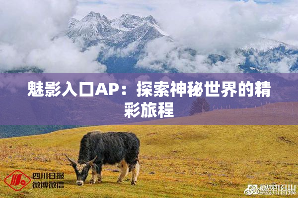 魅影入口AP：探索神秘世界的精彩旅程